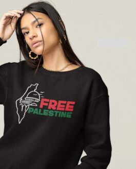 free palestine map sweatshirt